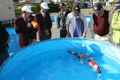 20111120 097-400.jpg